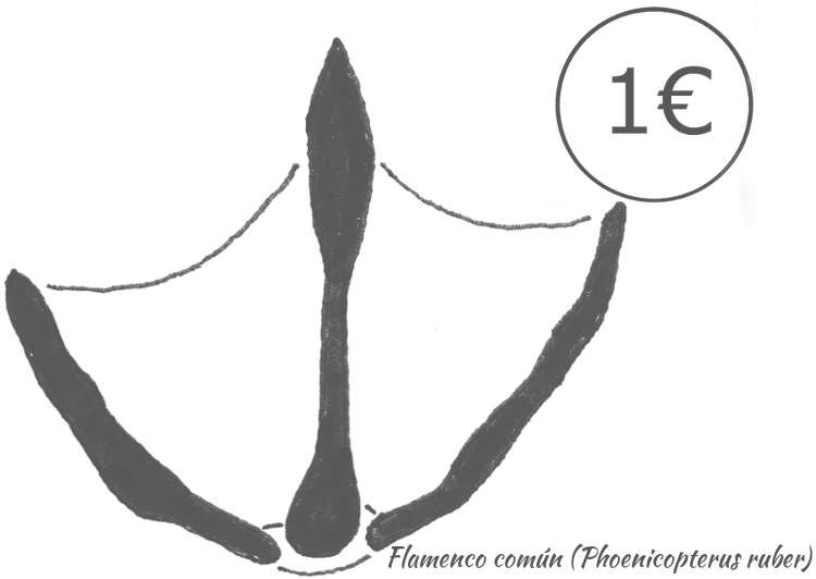 Datos De La Especie - Figure Drawing (759x586), Png Download