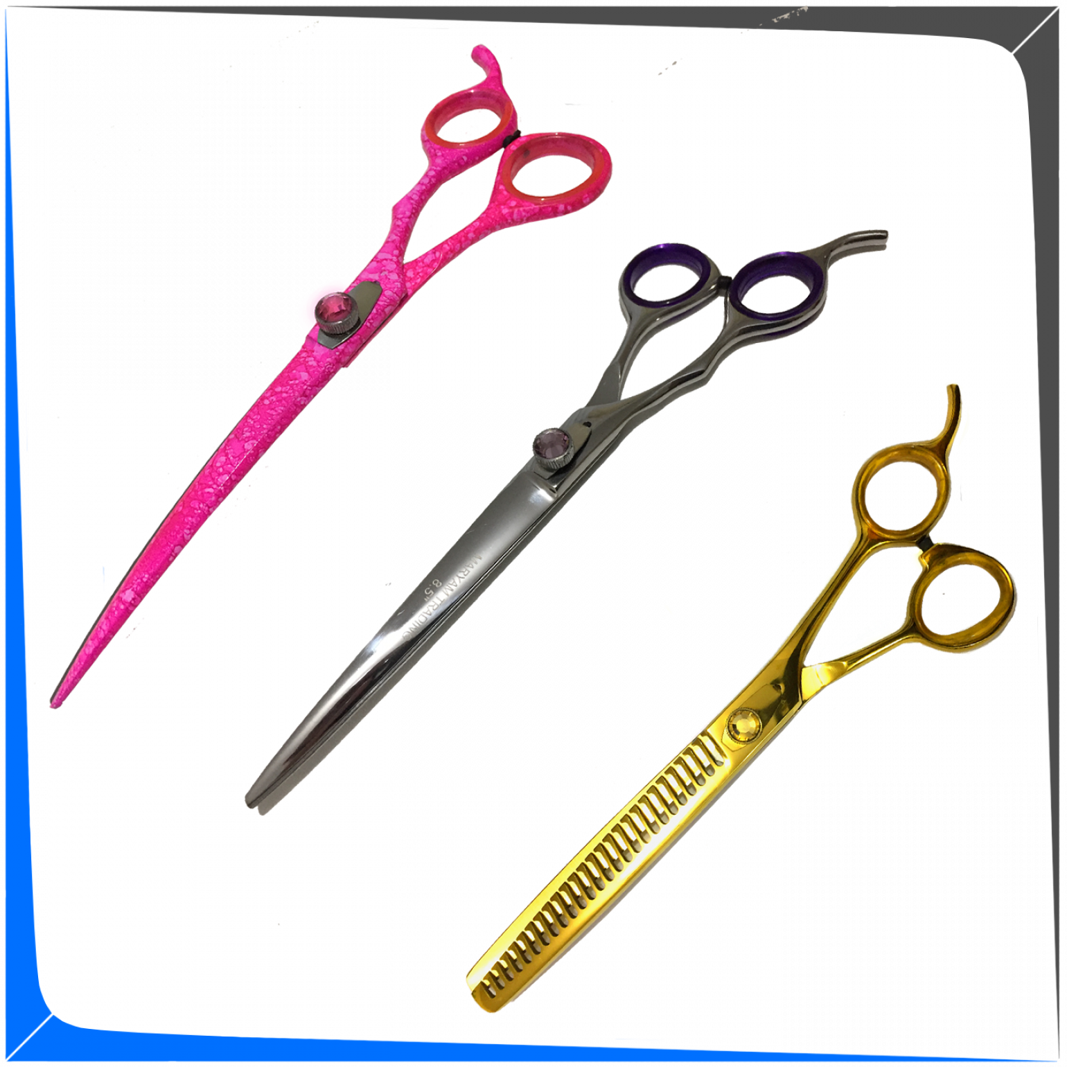 Ref - - Fashion Accessory (1540x1540), Png Download