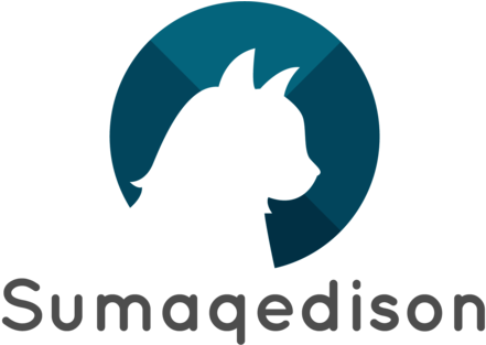 Lion Hair Mane Ears Head Cap Autumn Winter Dress Up - Graphic Design (450x312), Png Download