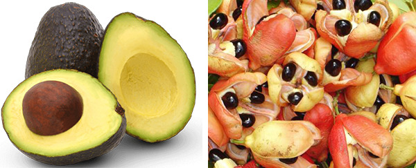 Ackees And Avocados Are Two Unique Fruits In That Both - Jamaican Ackee And Saltfish (600x243), Png Download