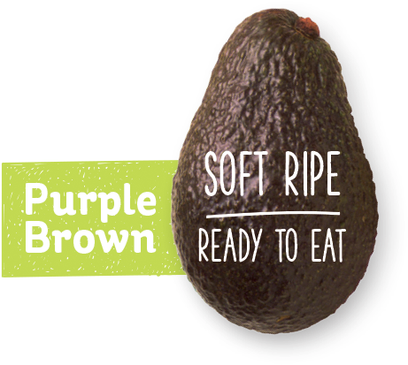 Purple Brown Avocado - Ripened Avocados (503x462), Png Download