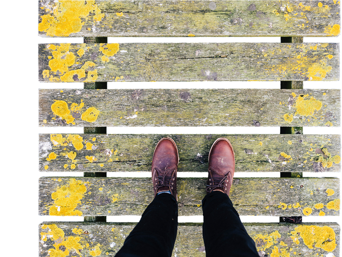 Bridge Web Wooden Bridge - Bridge (1280x852), Png Download