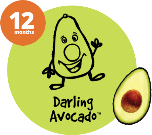 Includes The Variations Jake's Avocado, Lucus Lemon, - Cartoon (580x470), Png Download