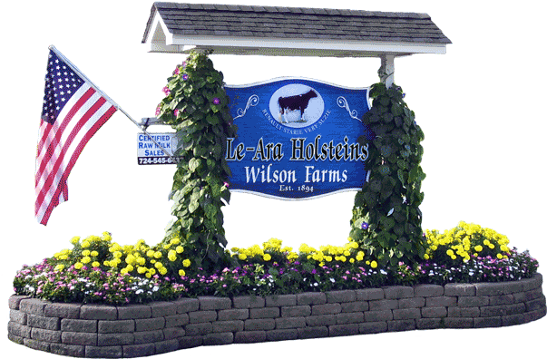 Le-ara Farms - Flag Of The United States (609x405), Png Download