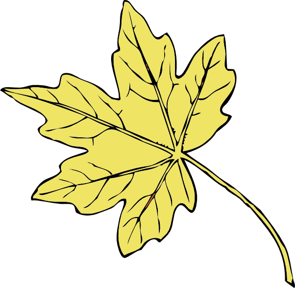 Gold Maple Leaf Clip Art - Gold Maple Leaf Transparent (600x585), Png Download