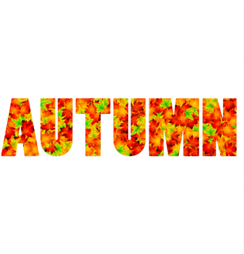 Inscription Autumn From Maple Leaves, Autumn, Leaves, - Autumn (360x360), Png Download
