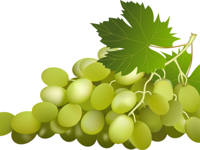 Grapes Clipart Grape Leaf - Green Grapes Clipart (640x480), Png Download