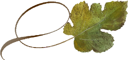 Spring Flowers, Autumn Leaves, Grapes Twisty Mulberry - Leaf (519x346), Png Download