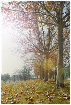 Amanecer En Estación De Otoño - Sunset (400x400), Png Download