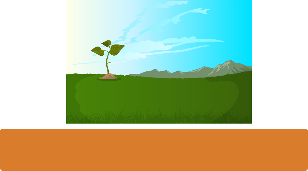 Había Una Vez Una Planta Que Crecía Fuerte Y Sana Mientras - Illustration (986x547), Png Download