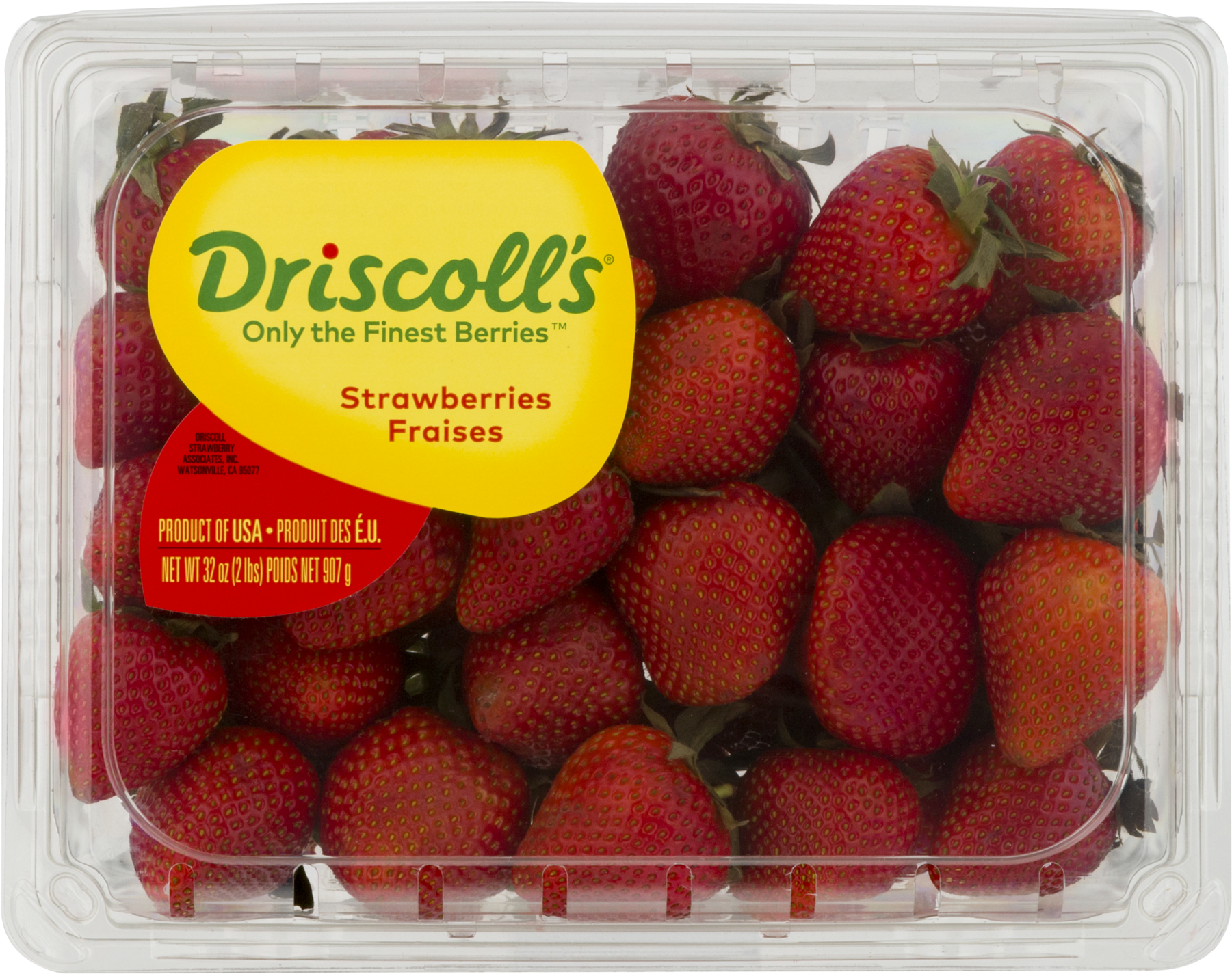Driscoll's Blueberries (australia/ Usa) (1800x1800), Png Download