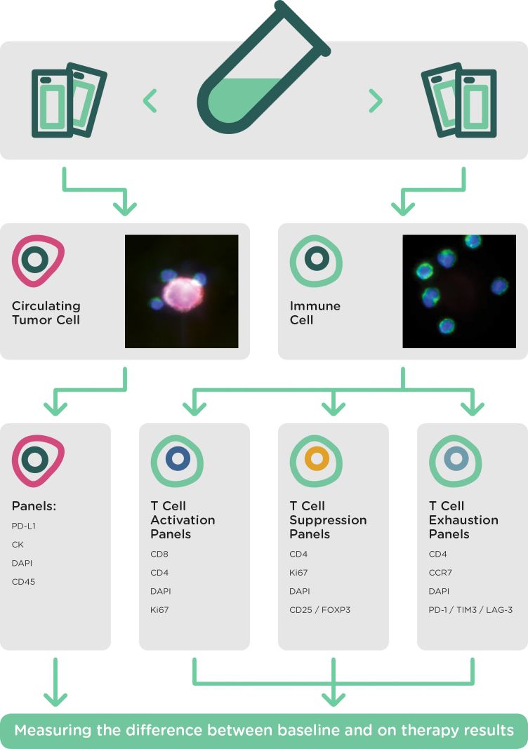 Simultaneous Tumor Cell And Leukocyte Characterization - Neoplasm (752x1067), Png Download