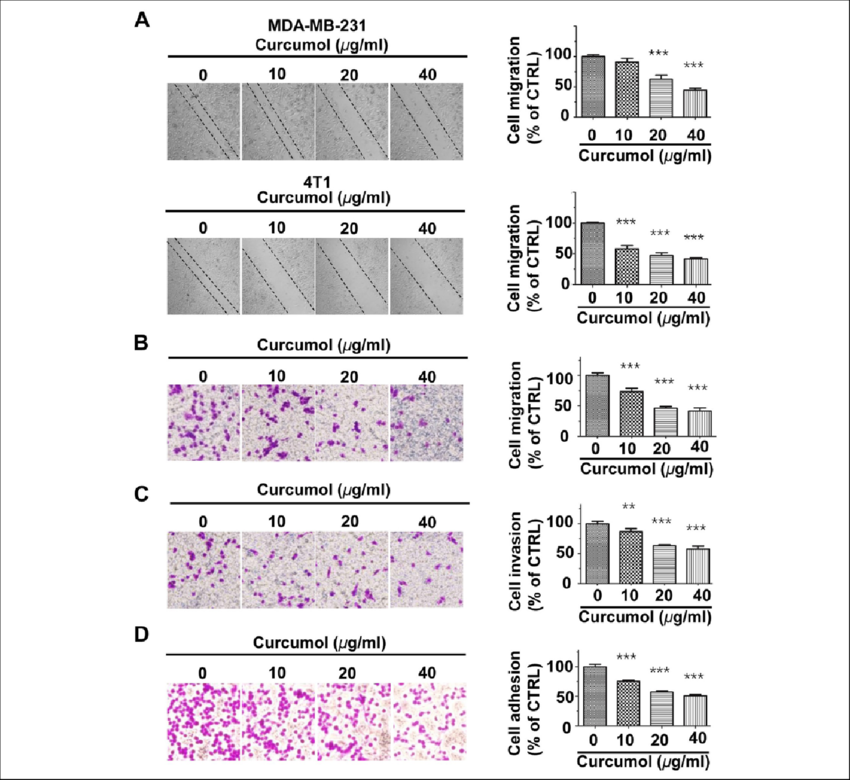 Nhibition Of The Migration, Invasion, And Adhesion - Number (850x780), Png Download