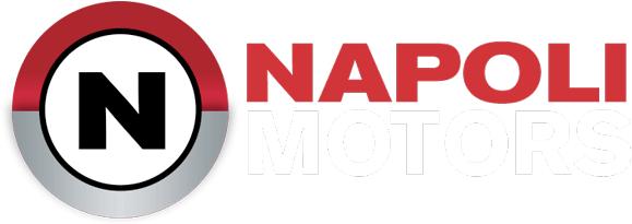 Dealer-logo - Napoli Nissan (1006x240), Png Download