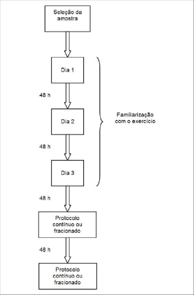 Delineamento Experimental Utilizado No Presente Estudo - Diagram (657x998), Png Download