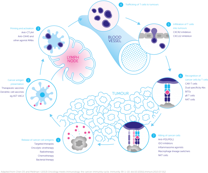 Cancer Immunity Cycle - Cancer Immunology (680x579), Png Download
