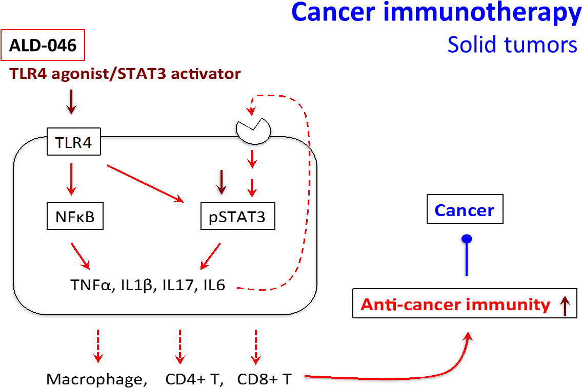 Tlr4 Is Expressed On A Variety Of Immune Cells As Well - Tlr4 Pro Cancer (1186x797), Png Download