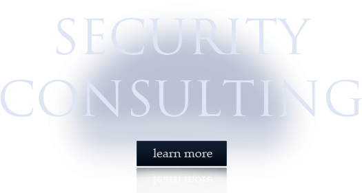 Security Consulting Tampa, Fl - Tampa (525x281), Png Download