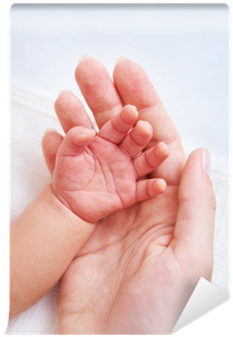 Female Hand Holding Newborn Baby's Hand Wall Mural - Melhores E Mais Belas Maneiras De Dizer Mae (400x400), Png Download