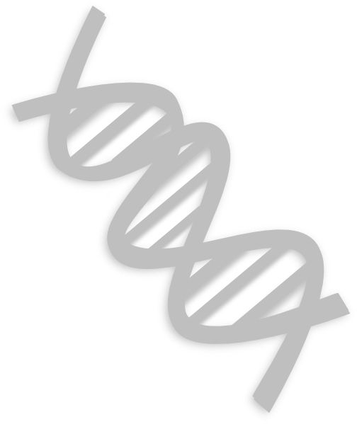How To Set Use Dna Clipart - Clip Art (504x599), Png Download