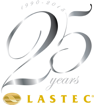 Celebrating 25 Years - Anniversary (500x441), Png Download