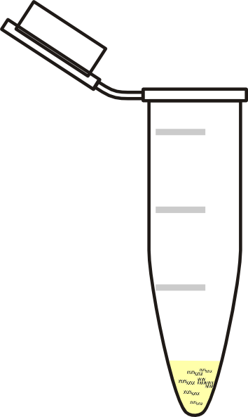 Microcentrifuge Tube Clip Art (354x593), Png Download