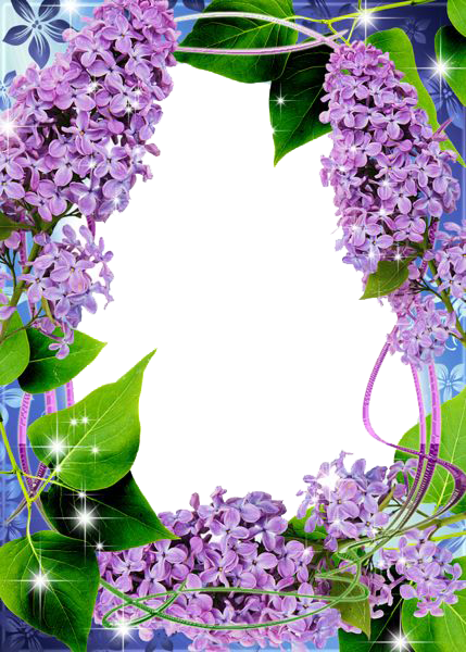 Lilac Transparent Png - Lilac Frame (429x600), Png Download