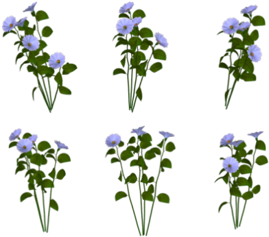 Blue Scalloped Edge Flowers - Rose (445x365), Png Download