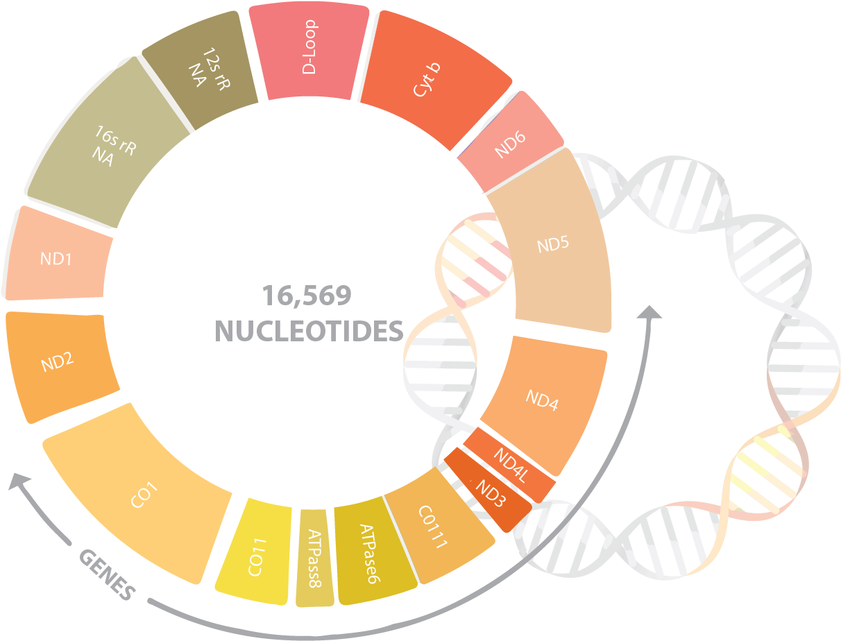 Learn More - Commonwealth Meetings (1354x938), Png Download