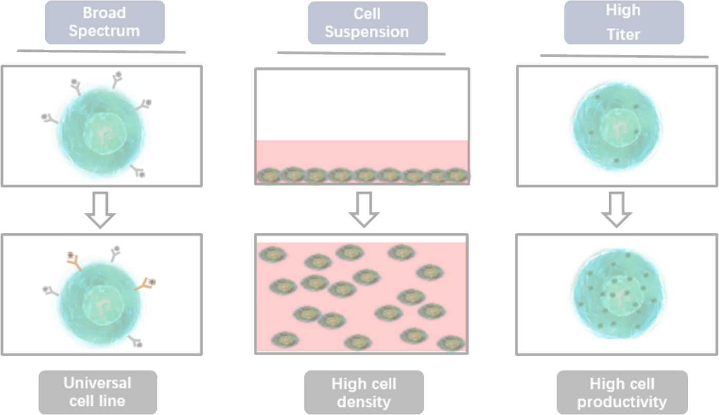 We Do Not Have Any Biosafety Issue As We Do Not Work - International Genetically Engineered Machine (1399x808), Png Download