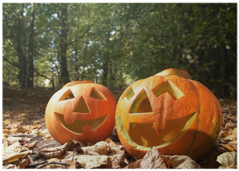 Creepy Carved Pumpkin Face, With A Smile, In Park Poster - Face (400x400), Png Download