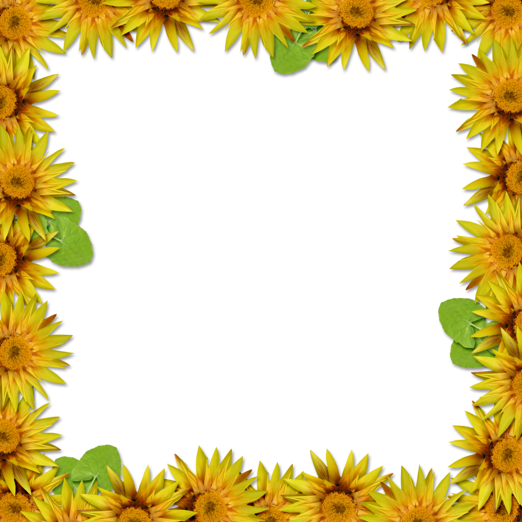 Flower Frame Portrait Hd (1024x1024), Png Download