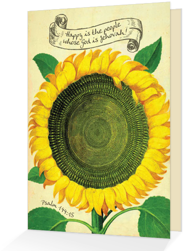 A Bright Cheerful Vintage Sunflower Illustration Adorns - Vintage Sunflower Seed Packets (498x498), Png Download
