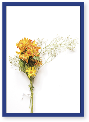 Sunflower Sunflower - Flower Bouquet (480x480), Png Download