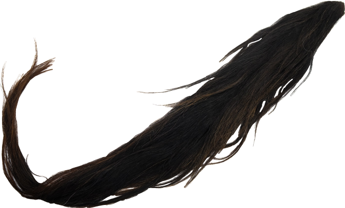 Report Abuse - Long Black Horse Tail (691x417), Png Download