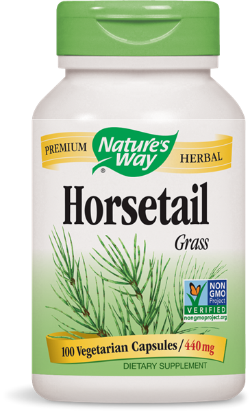 14300 - Horsetail Grass - Nature's Way Horsetail Grass, 440 Mg, 100 Capsules (365x600), Png Download
