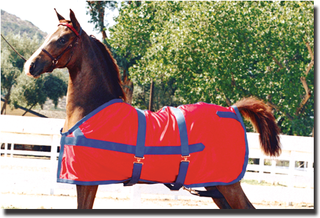 Red & Royal Blue Classic Sheet - Horse Show Sheets (497x331), Png Download