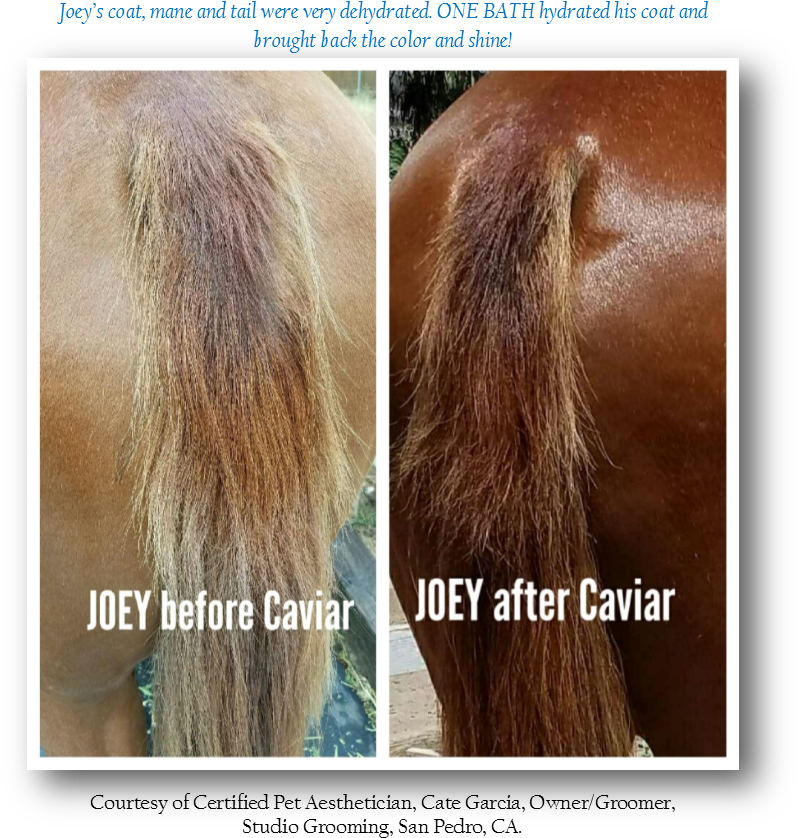 Ask Our Product Consultants And Staff About How You - Blond (809x872), Png Download