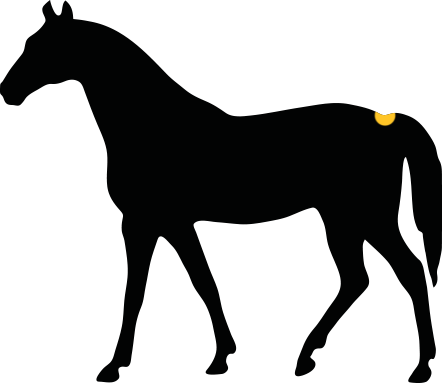 How Would You Describe The Girth Of The Horse - Harry Potter Doe Silhouette (442x383), Png Download