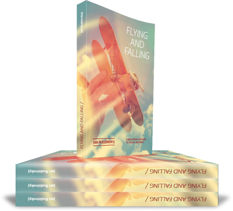 Flying And Falling Is The Authentic Story Of A Man - Ravioli (461x419), Png Download