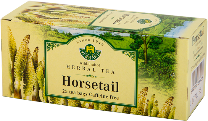 Horsetail Tea, 25 Tea Bags - Hypericum Perforatum Tea (723x500), Png Download