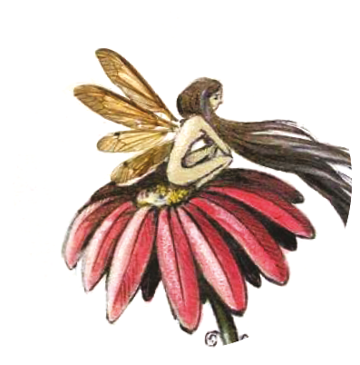 Field Horsetail - Powder - Black-eyed Susan (397x402), Png Download