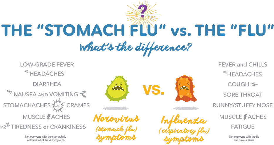 The Difference Between Stomach Flu And - Difference Between Flu And Stomach Flu (960x640), Png Download
