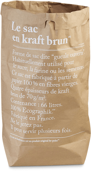 Kraft Paper Bag - Paper Bag (750x1000), Png Download