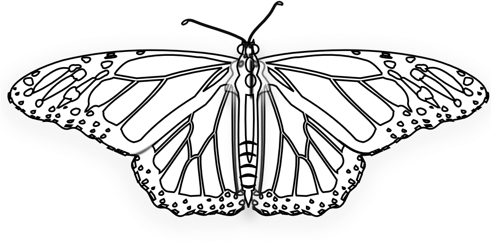 Flower Butterfly Butterfly Black White Line Art 999px - Papilio Machaon (999x624), Png Download