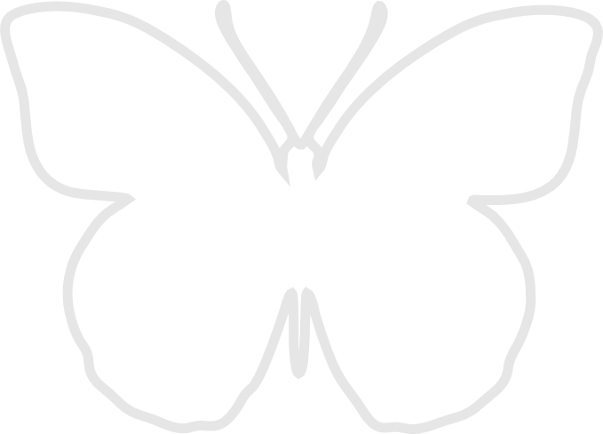 White Butterfly Clipart - White Butterfly Silhouette Png (679x489), Png Download