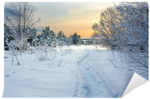Winter (400x400), Png Download