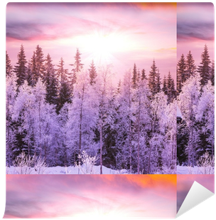 Winter (400x400), Png Download