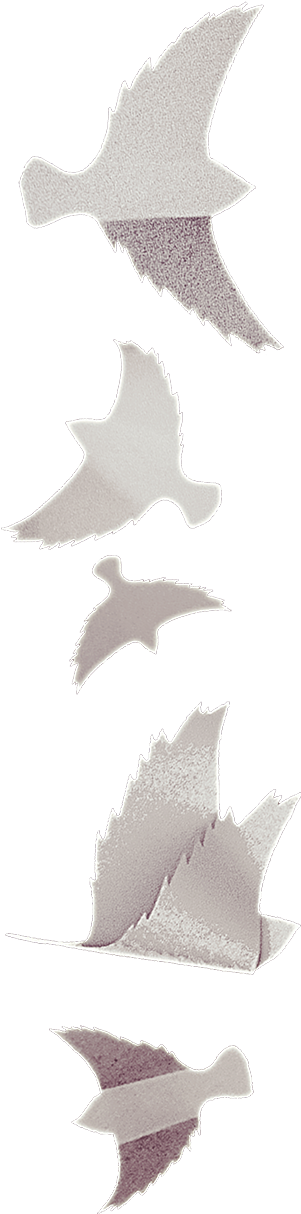 Same God Film Birds Separator - Film (300x1230), Png Download