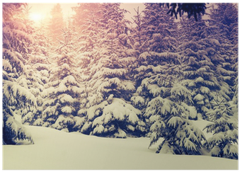 Landscape (400x400), Png Download